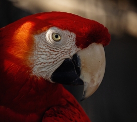 Lorem Ipsum hasy's standard (1) (1) (1) (1) (1) (1) (1) (1) (1) (1) (1) (1) (1) (1) (1) (1)